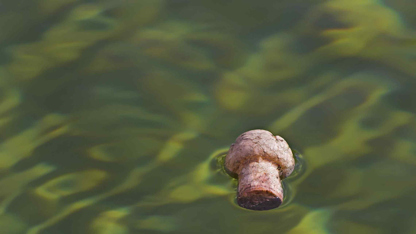 Floating Cork Meditation