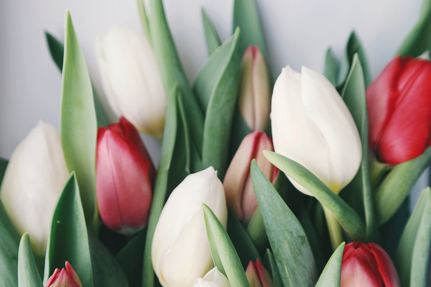 Treat Your Mom Eco-Friendly Style