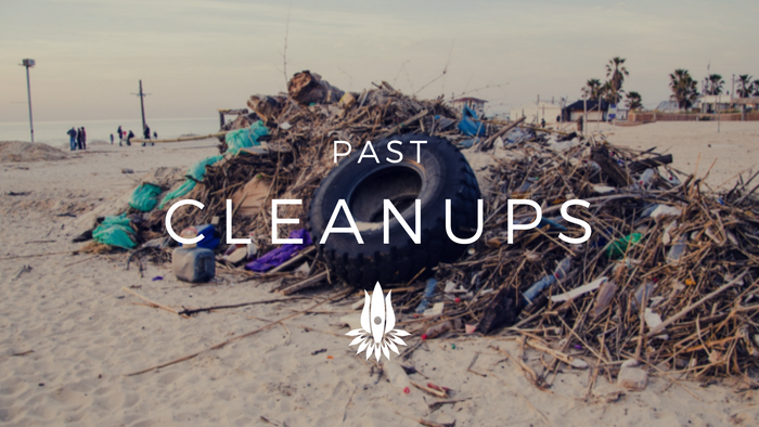 PAST SEVA CLEANUP - AUGUST 3, 2018
