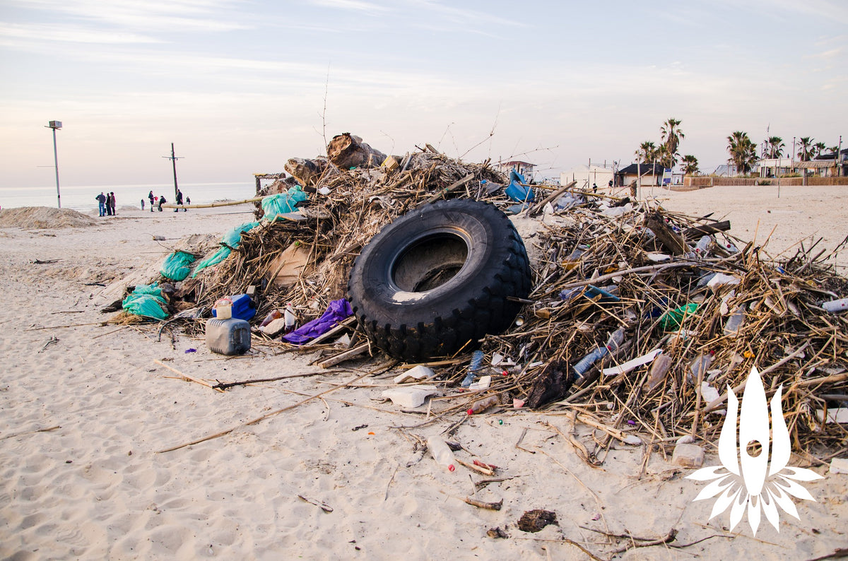 UPCOMING SEVA CLEANUP - APRIL 13, 2024