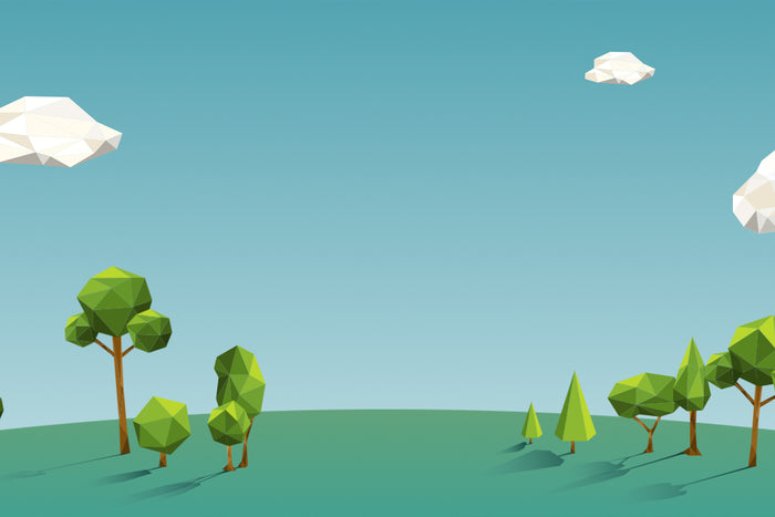 Calculating Your Eco Footprint